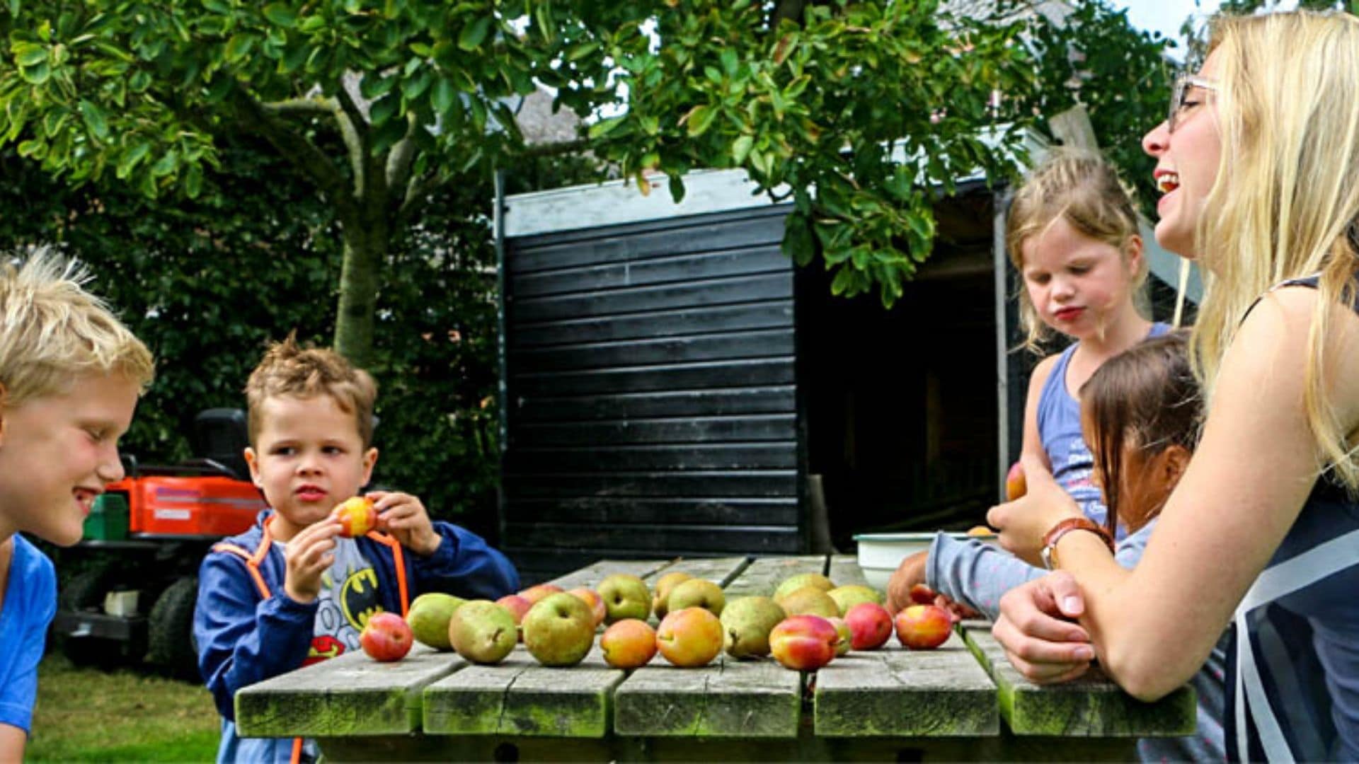 Boomgaard-Kinderopvang-De-Hooijbergh