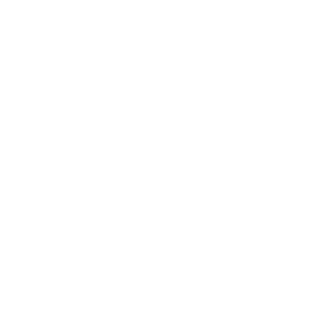 icoon-facebook-w