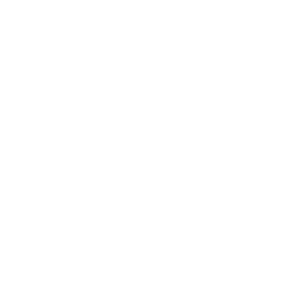 icoon-instagram-w